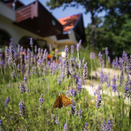 Zseri Vadaszhaz Fehervarcsurgo Экстерьер фото